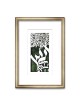David Fisher Laser Cut Paper Tree of Life Wall Hanging - Choice of Col